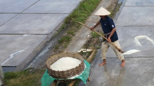 Nghề “phơi nước biển” ở Thanh Hoá là nghề gì mà người dân quyết bám trụ, thu nhập có đủ sống?