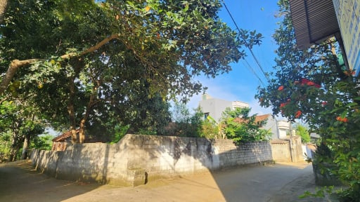 Quốc Oai (Hà Nội): Dân ròng rã tìm sổ đỏ, chính quyền địa phương 'chỉ vòng quanh'
