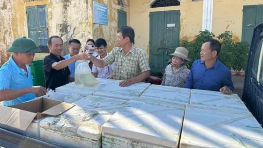 Trước giờ về 'chung nhà' với Hải Phòng, tỉnh Hải Dương giao cho dân 8 triệu con 'rồng đất' về nuôi, trông đáng sợ nhưng cực kỳ bổ dưỡng
