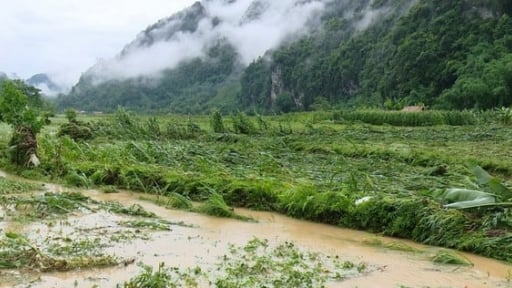 Vừa mưa lớn lại xuất hiện không khí lạnh, Phó Thủ tướng Trần Hồng Hà yêu cầu không được để gián đoạn công tác phòng chống thiên tai khi tổ chức chính quyền 2 cấp 