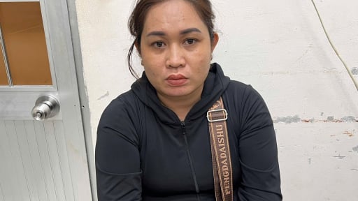'Nữ quái' từ Hậu Giang xuống Cà Mau trộm cắp
