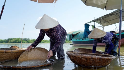 Làng cổ bên sông La ở Hà Tĩnh có nghề xúc hến, chế biến hến đã 300 tuổi, dân giảm nghèo, có hộ khá giả hẳn lên