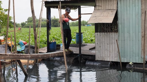 Sông Vàm Cỏ Đông ô nhiễm cục bộ, dân bất an, ngành chức năng Tây Ninh đau đầu tìm giải pháp