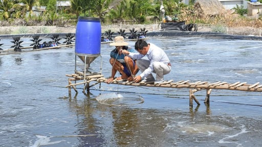 Trước giờ sáp nhập với tỉnh An Giang, Chủ tịch UBND tỉnh Kiên Giang ban hành chỉ thị yêu cầu các sở, ngành, địa phương làm việc gì?