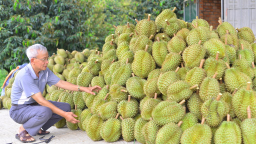 Phó Giám đốc Sở Nông nghiệp và Môi trường Lâm Đồng: Sầu riêng tại địa phương đạt chuẩn, giá còn tăng