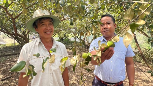 Phát triển nhiều mô hình sản xuất, có mô hình trồng cây đặc sản, nuôi con đặc sản đang góp phần giảm nghèo hiệu quả ở Bạc Liêu