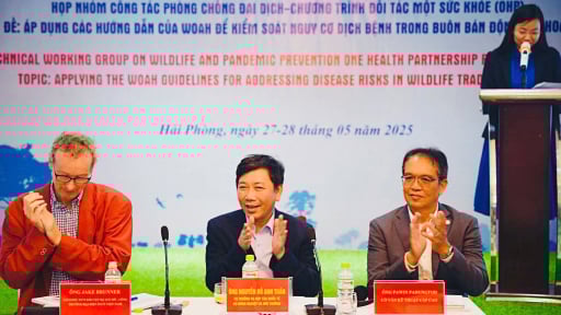 Kiểm soát nguy cơ dịch bệnh trong buôn bán động vật hoang dã