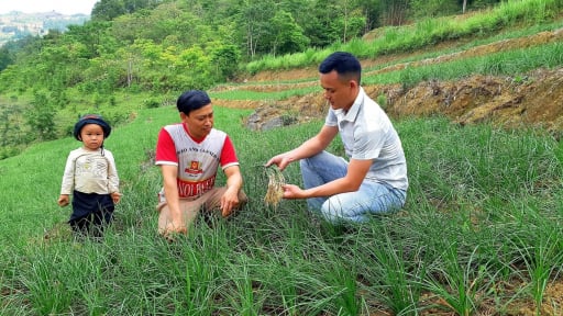Chuyển đổi số để hướng tới một nông thôn mới thông minh: Cơ hội để người dân nâng cao chất lượng cuộc sống