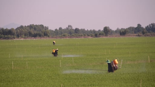 Nông dân, chủ thể tích cực trong tăng trưởng xanh lĩnh vực nông nghiệp