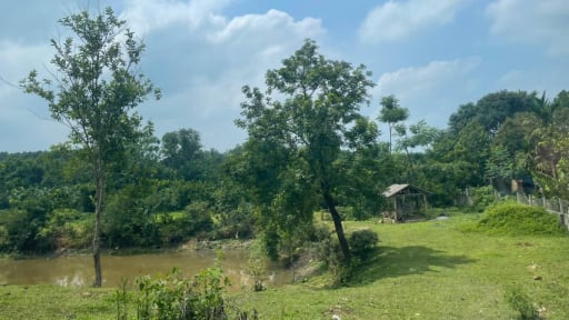 Tự ý múc đất nông nghiệp mang đi bán: Người dân cẩn thận bị phạt tiền, thậm chí có thể bị xử lý hình sự