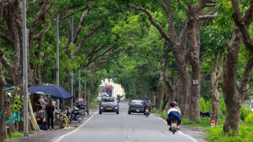 Tuyến đường có hàng xà cừ tuyệt đẹp ở ngoại thành Hà Nội sắp được mở rộng lên 8 làn xe 