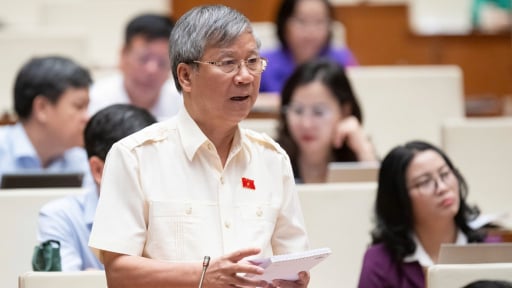 Ông Nguyễn Anh Trí: 'Đại biểu Quốc hội không nên cầm giấy đọc nội dung không do mình chuẩn bị'