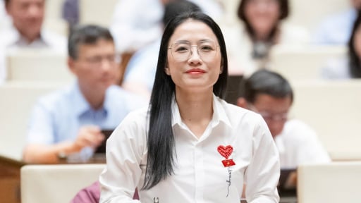 Đại biểu lo sốt vó doanh nghiệp bị địa phương “nợ dây chuyền” thuế VAT, không biết tìm ai đòi khi sáp nhập tỉnh