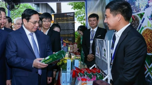 Khai thác “mỏ vàng” sản phẩm OCOP ở nông thôn - Bài 1: Gắn sao lên đời, vươn ra thế giới