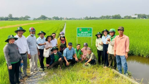 Chuyên gia: Nông nghiệp bền vững không thể có một ông nông dân trồng hai thửa ruộng, một để ăn, một để bán