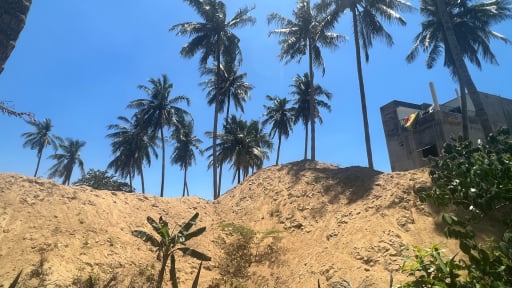 Thanh tra toàn diện vụ 'có bản đồ, có dừa, mà không có đất' ở TX.Hoài Nhơn