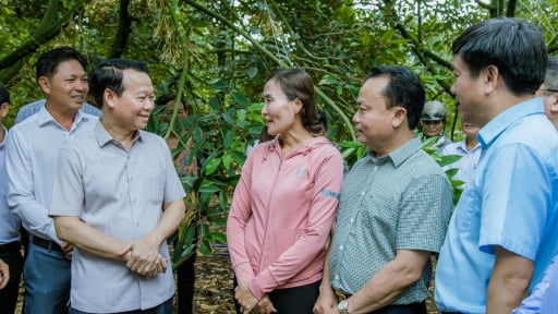 Gặp 'tư lệnh' ngành nông nghiệp và môi trường, nông dân trồng sầu riêng Đắk Lắk nói lên điều lo lắng gì?