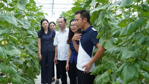 Nông dân Bắc Ninh sản xuất kinh doanh giỏi, xây dựng nông thôn mới, làng quê văn minh, nơi đáng sống 
