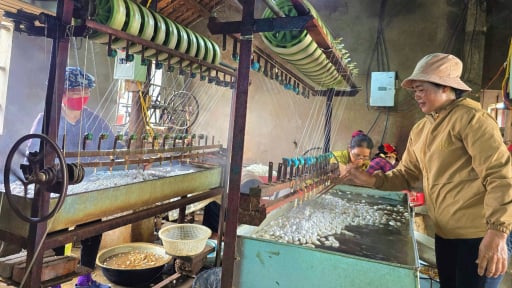 Nuôi con vật chỉ ăn một loại lá, nhả ra thứ sợi trắng muốt, bán sang Lào giá 1 triệu/kg, cả làng Nghệ An khá giả