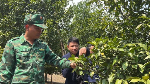 Sau hơn 15 năm, đây là xã đầu tiên của huyện nghèo Mường Lát ở tỉnh Thanh Hóa
