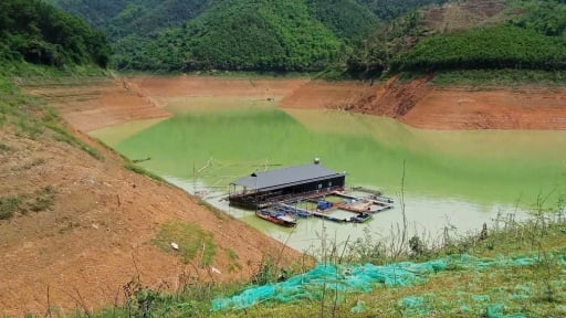 Mặt hồ thủy điện Hòa Bình co lại vì cạn nước, người nuôi cá lồng thấp thỏm lo âu 