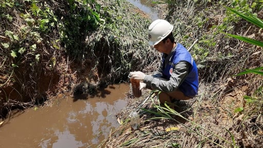 Tỉnh Quảng Trị điều tra, đánh giá sức chịu tải của môi trường trước “sức ép” từ các dự án chăn nuôi