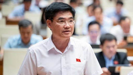 Giao VKS khởi kiện vụ án dân sự để bảo vệ lợi ích công vụ án Đại Ninh, Apatit Lào Cai