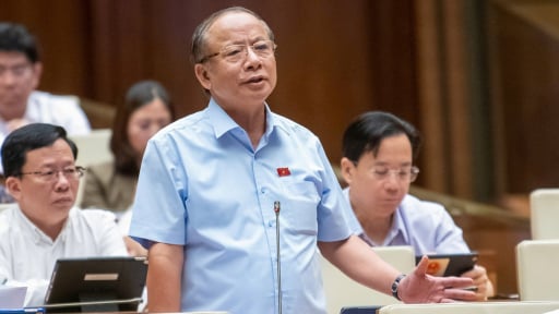 Đại biểu Quốc hội: 'Nếu bắt cầu thủ Nguyễn Xuân Son đổi tên mới cho nhập tịch thì không ổn'