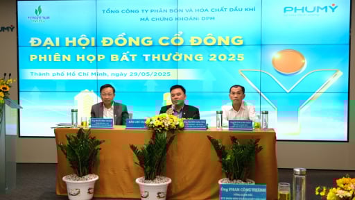 PVFCCo – Phú Mỹ kiện toàn thành viên Hội đồng Quản trị