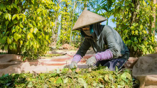 Đắk Lắk có vô số đặc sản, sản phẩm nông nghiệp ngon lành, EVFTA là cánh cửa vào thị trường châu Âu