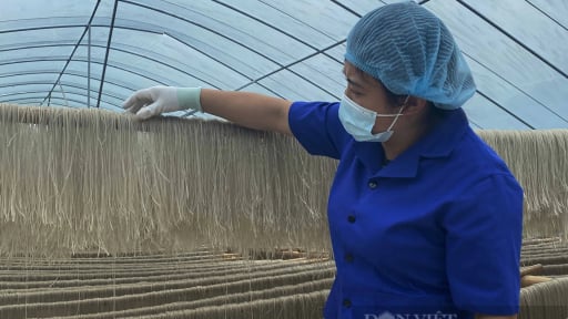 Làm ra sản phẩm độc đáo, gắn sao OCOP, bán cho khách du lịch, người dân nông thôn đang tự trả lương cao