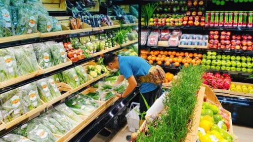 Nông dân làm sản phẩm sạch tìm kiếm cơ hội bán hàng qua triển lãm quốc tế 