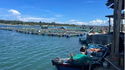 Trước giờ sáp nhập với tỉnh Đắk Lắk, Phó Chủ tịch UBND tỉnh Phú Yên yêu cầu kiểm soát chặt, không để phát sinh các lồng, bè nuôi tôm, cá mới  