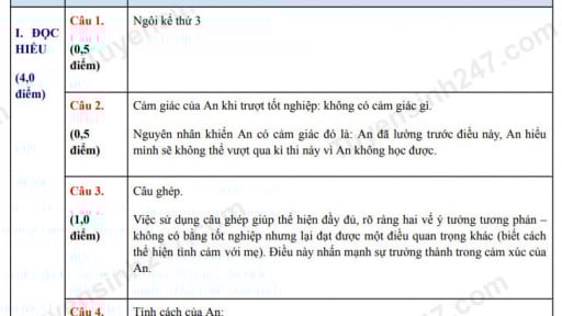 Đề thi môn Văn vào lớp 10 năm 2025 của Đồng Nai có gợi ý đáp án 