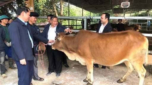 Giảm nghèo đa chiều ở Hà Giang, đóng góp của Hội Nông dân và những con số ấn tượng