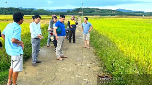 3 người tử vong do sét đánh ở Hà Tĩnh, ngành chức năng khuyến cáo 'NÓNG'