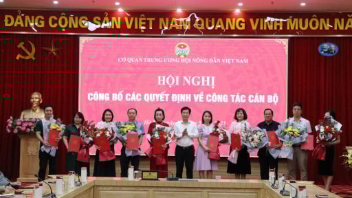 Trung ương Hội Nông dân Việt Nam trao quyết định nghỉ hưu, nghỉ thôi việc cho 10 đồng chí