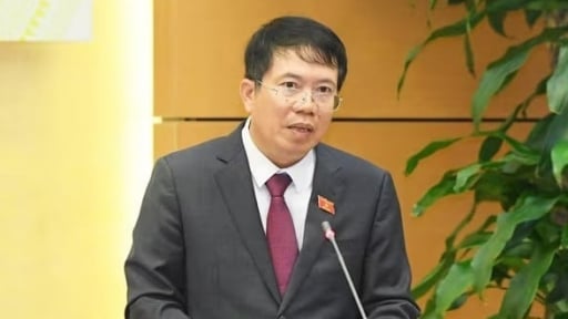 Công bố Nghị quyết của Ủy ban Thường vụ Quốc hội về công tác nhân sự