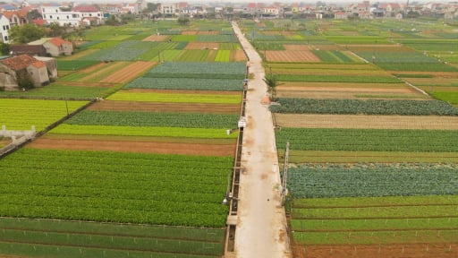Sản xuất phân hữu cơ vi sinh, thay đổi từ nhận thức đến hành động thực tế của nông dân Nghệ An