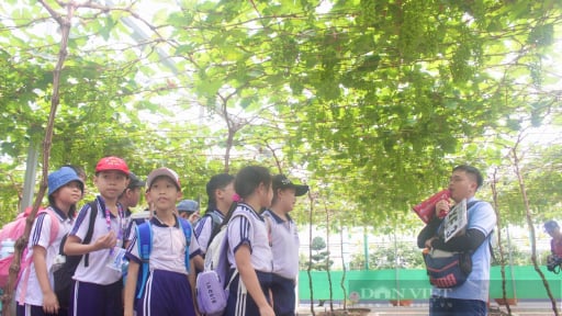 Suối Tiên, Đầm Sen miễn phí vé cổng, tổ chức tưng bừng lễ hội cho trẻ em ngày 1/6