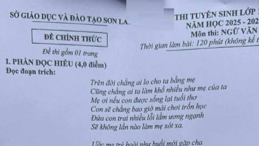 Đề thi môn Văn vào lớp 10 năm 2025 của Sơn La có gợi ý đáp án