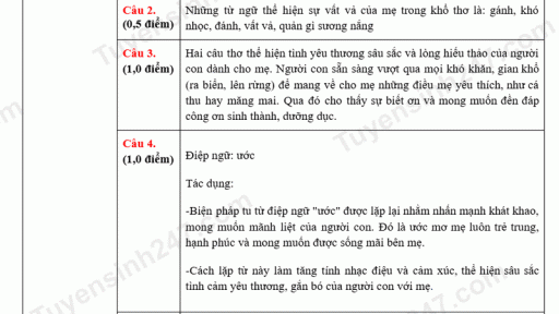 Đề thi môn Văn vào lớp 10 năm 2025 của Sơn La có gợi ý đáp án