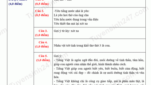 Đề thi môn Văn vào lớp 10 năm 2025 của Vĩnh Phúc có gợi ý đáp án