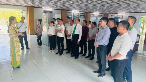 Phát lộ la liệt di vật, hiện vật cổ khi đào khai quật dưới lòng đất ở vùng nông thôn Thanh Hóa