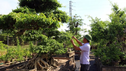Hà Nội: Thường Tín về đích nông thôn mới nâng cao, thành quả từ sự đồng lòng và tầm nhìn chiến lược