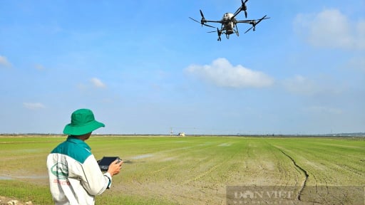 Giảm nghèo ở Quảng Bình: Nông dân ứng dụng công nghệ vào sản xuất lúa, cánh đồng xanh tốt, cuối vụ bội thu