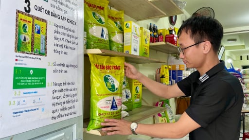 Gạo ST25 Ông Cua bị nhái tràn lan, làm sao biết mà phân biệt thật hay giả?
