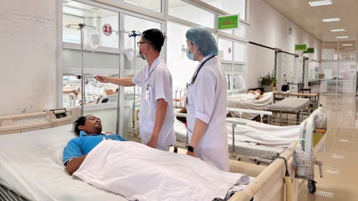 7 người ngộ độc sau khi ăn nấm hái trong rẫy ở Đắk Lắk