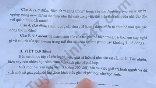 Đề thi môn Văn vào lớp 10 năm 2025 của An Giang có gợi ý đáp án