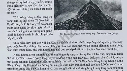 Đề thi môn Văn vào lớp 10 năm 2025 của Hải Phòng có gợi ý đáp án